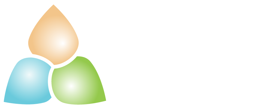 Holistic Holiday at Sea - Vegan Wellness Cruise